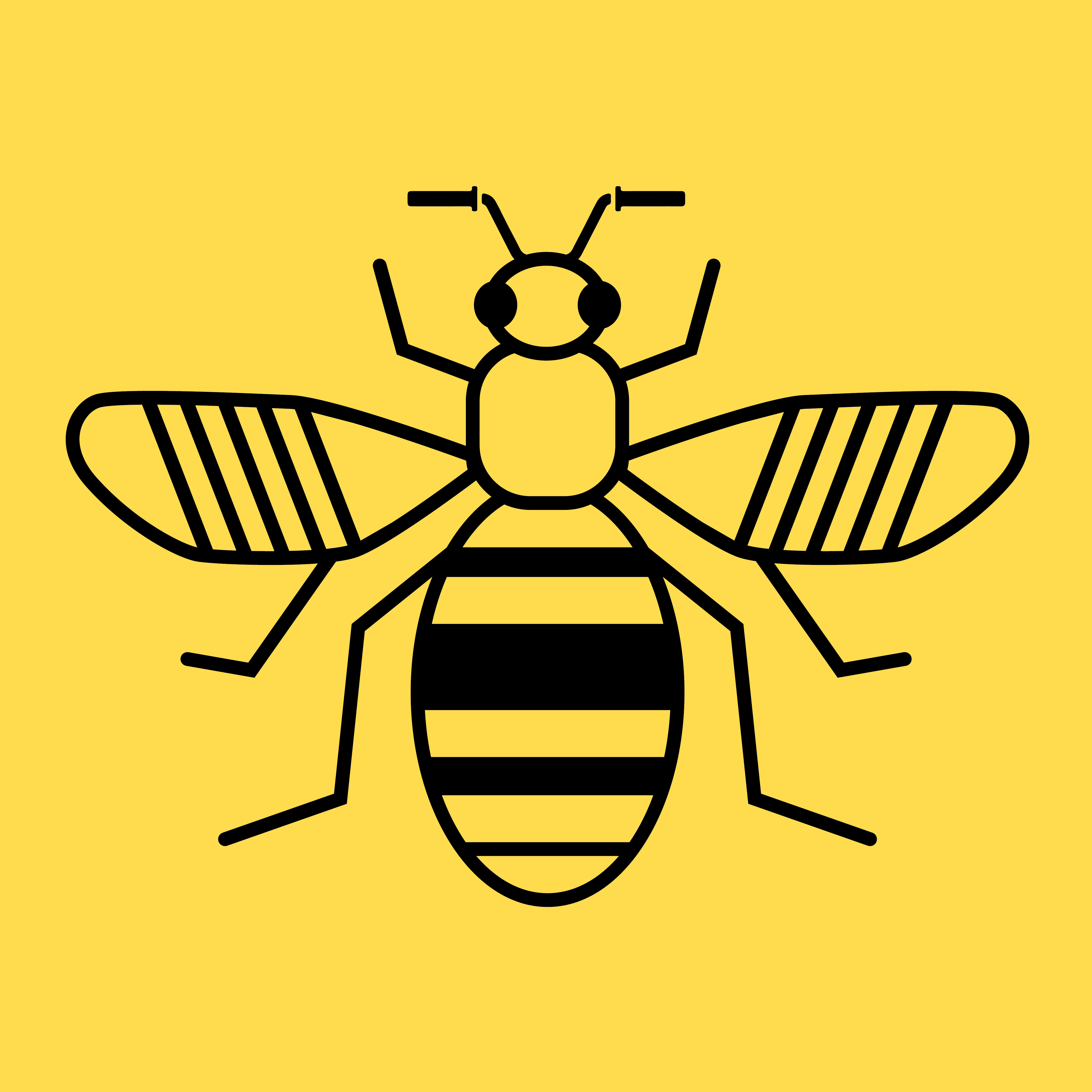 Bee Network TfGM